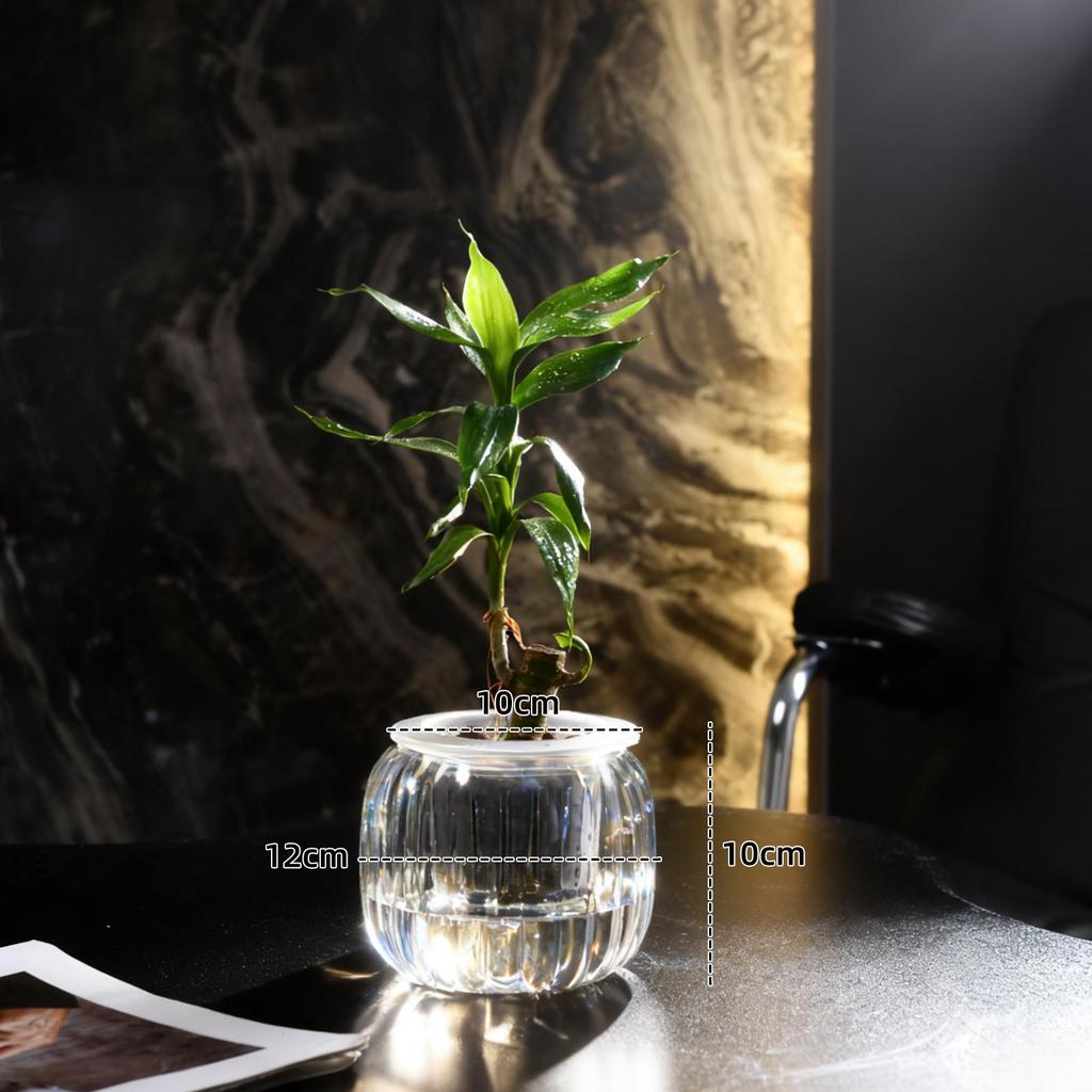 Small Hydroponic Vase for Phalaenopsis & Succulents - Desktop Decoration
