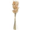 Small Reed Dried Flower Bouquet Small Whisk Small Pu Reed Reed Dried Flower Rabbittail