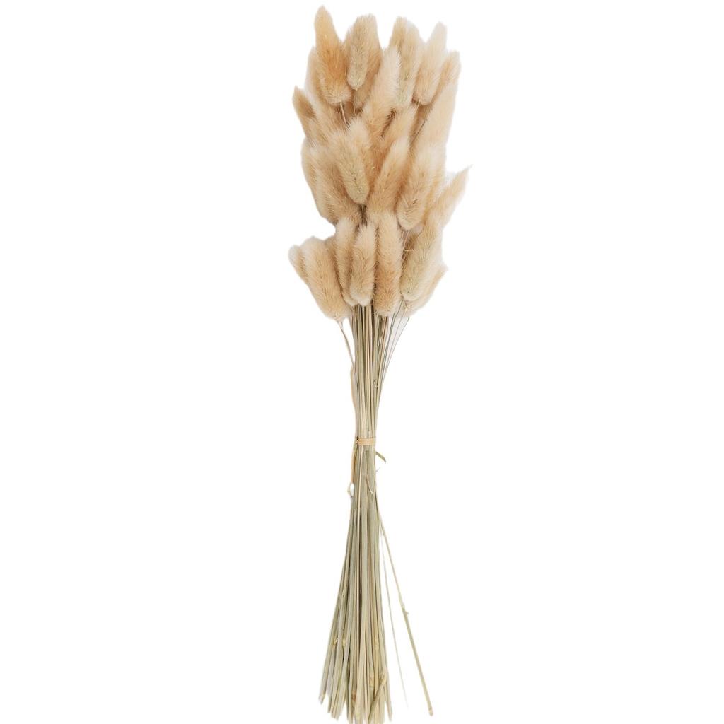 Small Reed Dried Flower Bouquet Small Whisk Small Pu Reed Reed Dried Flower Rabbittail