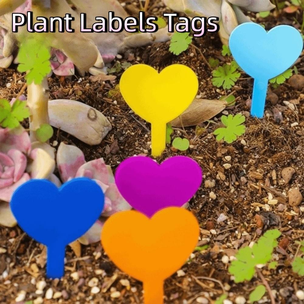 100PCS Reusable Plant Labels Tags Heart Shaped Succulent Signage Garden Flower Pots