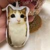 Portachiavi Peluche Attivato dalla Voce Gatto Miao Ciondolo Animale di Peluche Parlante Carino per Borse Zaini Regalo Divertente per Bambini Studenti