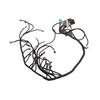 LS Swap Standalone Wiring Harness Drive By Wire DBW 4L60E for 4L70E 4L75E Transmissions