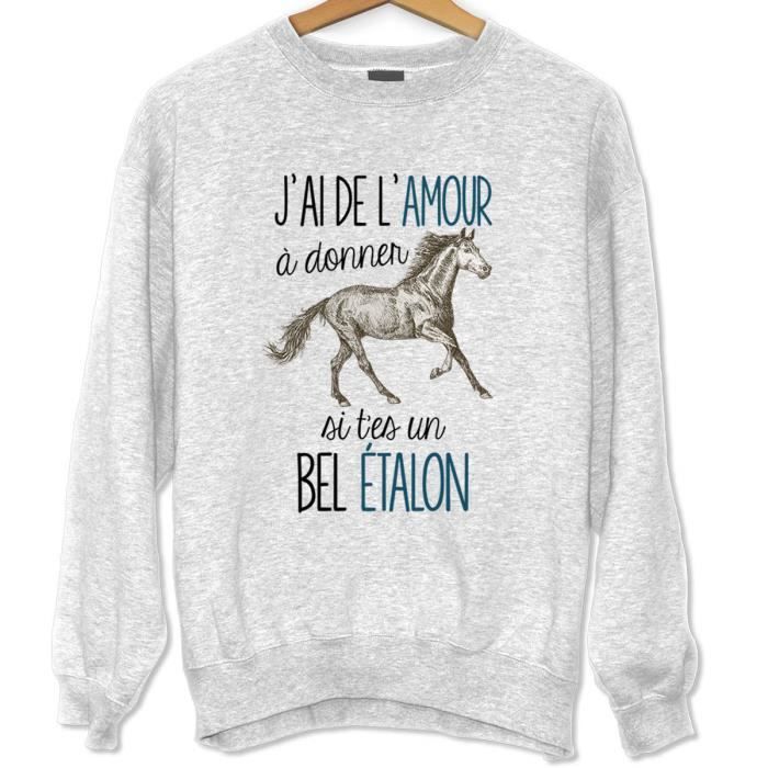 Sweat - De l'Amour à Donner - Humour Fun - Unisexe - Manches Longues - Gris