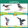 Charming Decorative Bird Models Including Hummingbird Finch And Cuckoo Perfect For Any Setting
