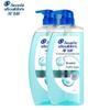 Head & Shoulders Oil Control & Volumizing Scalp Care Shampoo
