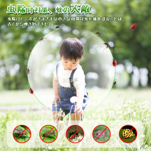 FOCHIER F Onyamma Pro Insect Repellent Dragonfly Pendants, Authentic, Nearly Identical To the Real Thing, PVC Cell Phone Pendants, Mobile Phone Decora