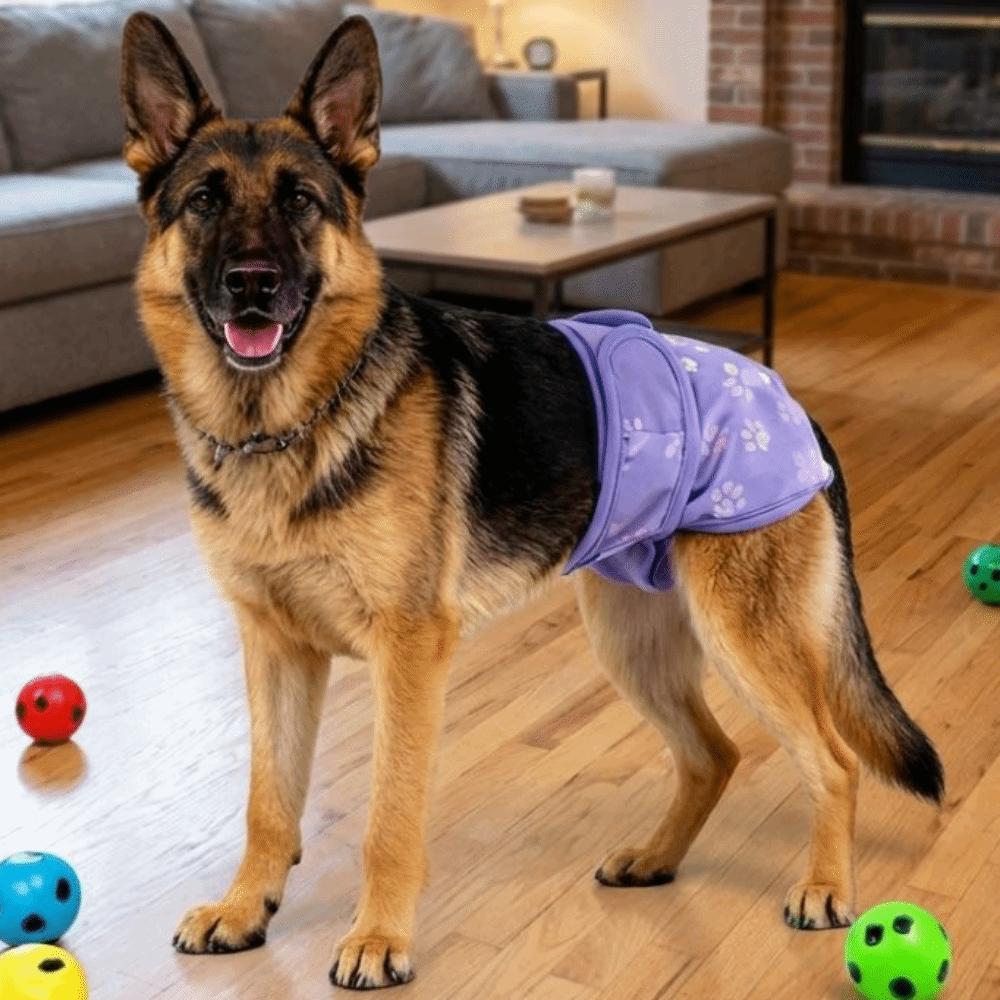 Washable Female Dog Diapers Breathable Dog Underwear Pet Sanitary Pants Dog in Heat
