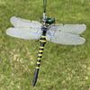 1/2/3/4/5 Sets Fake Dragonfly Decoration Portable Outdoor Camping Gnats Fly Repellent Simulated 3D Dragonfly Model Ornament Kids Educational Toy