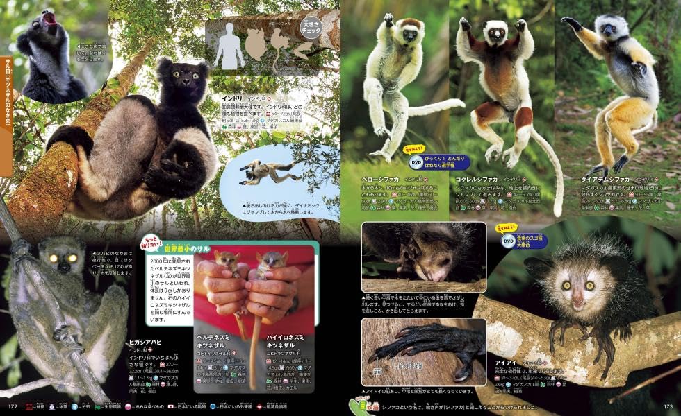 Animals, New Edition, Second Edition (Kodansha's Moving Picture Book MOVE)