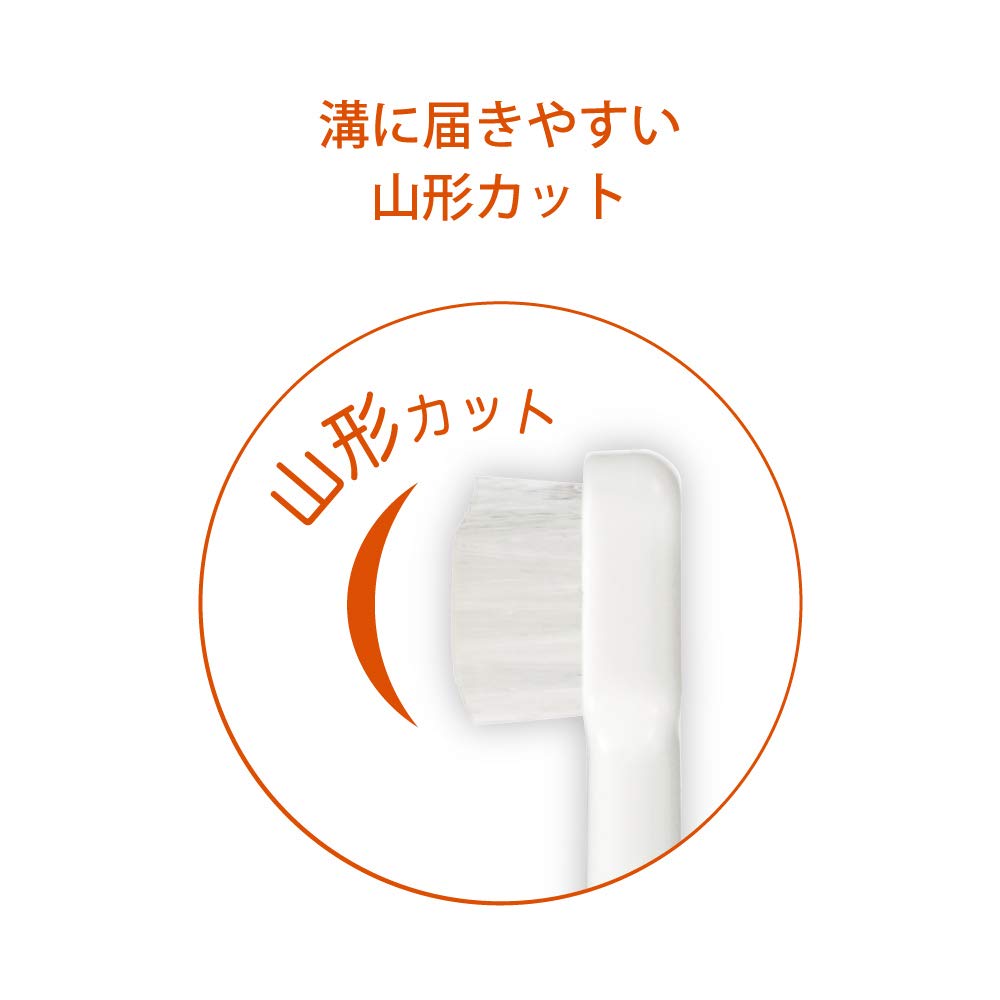 Combi Teteo First Step for Baby Sky Blue Toothbrush, 4, Teeth,
