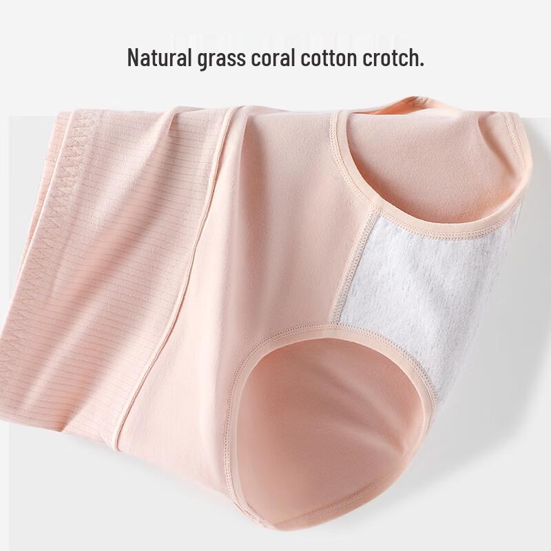 GUJIN Women's High-Waist Cotton Briefs 3-Pack