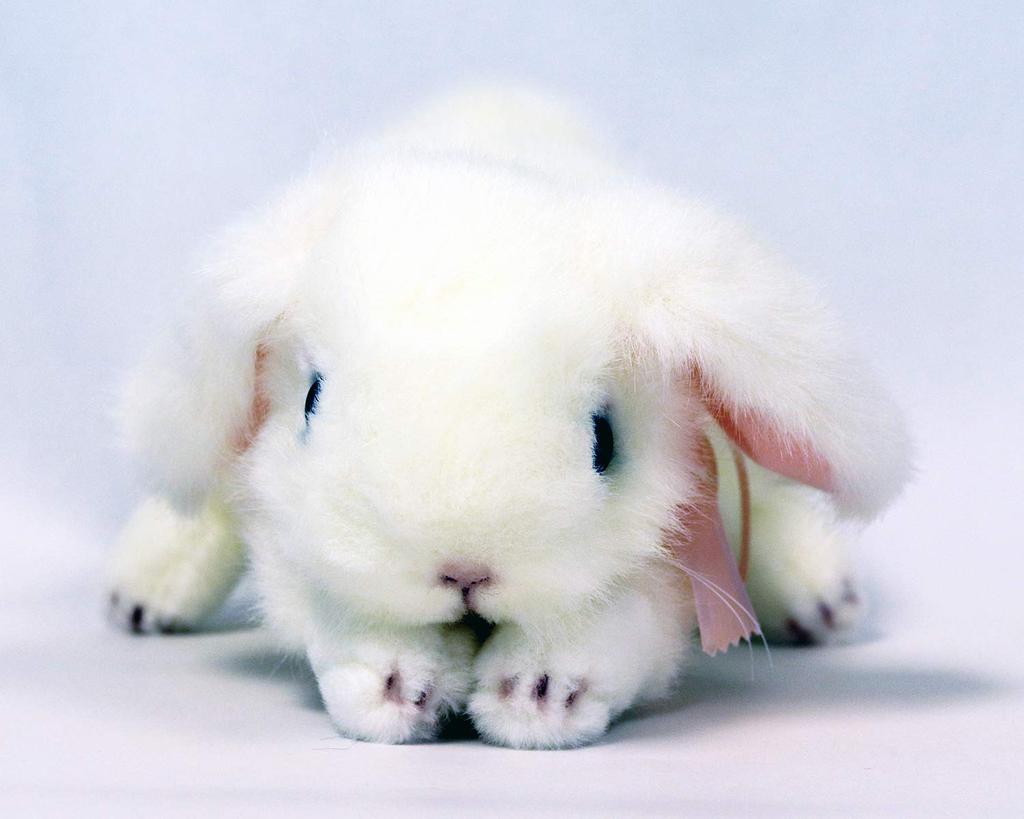 Yoshitoku Lop Ear Rabbit SWH