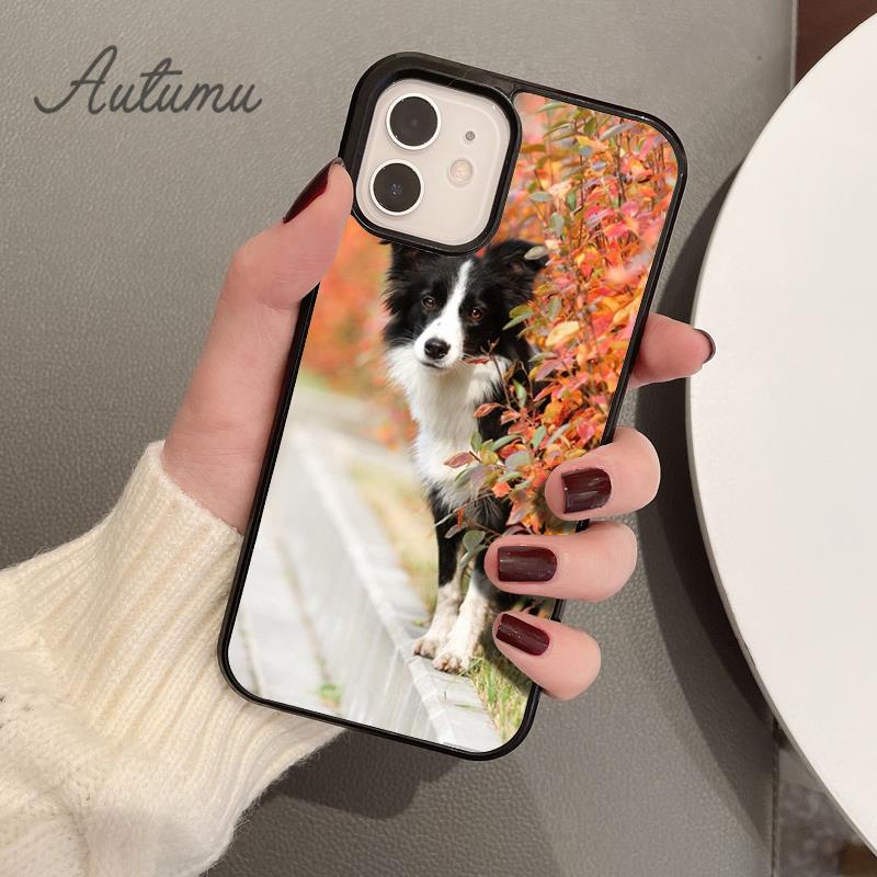 Süße Border Collie Hund Haustier Handyhülle für iPhone 11 12 13 14 Pro Max Mini XR XS SE 2020 6S 7 8 Plus Samsung Galaxy S21 S22 Cover