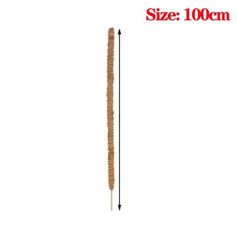 Großhandel Biegsamer Kokosfaser-Moosstab Pflanzenkäfig Kletterstab Pflanzenstütze Verlängerung für Monstera-Pflanze zum Aufwärtswachsen Garten