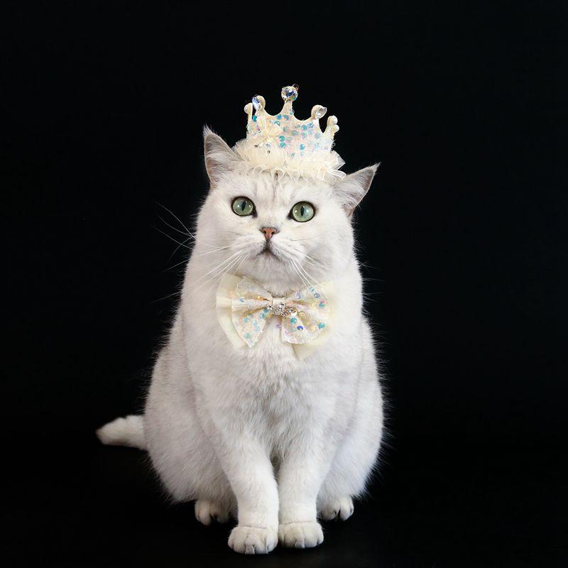Pet Birthday Hat Bib Party Hat Cat Puppy Lace Saliva Towel Dog Bandana Scarf Dog Birthday Dress Up Photography Props Supplies