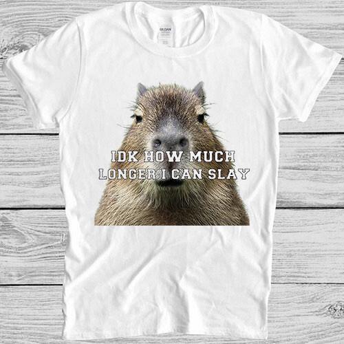 Idk How Much Longer I Can Slay Capybara Sarcastic Dan Meme Gift Tee T Shirt M945 S