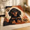 Kittens Camping Sofa Coral Fleece Blanket Cute Cat Outdoor Decor