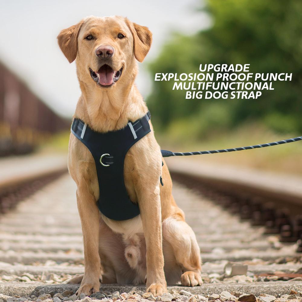 Pet Chest Harness Vest Reflective Dog Leash Chest Back Commuter Explosion-proof Impact Dog Chest Harness for Medium and Large