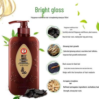 BaWang Anti-Hair Loss and Oil Control Shampoo