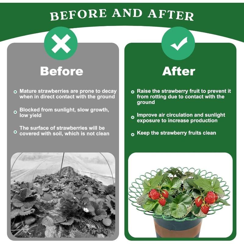 1/5/10/20 Stück Erdbeerpflanzenstützen mit drei stabilen Beinen bieten Schutz für Erdbeeren vor Schimmel, Fäulnis und Schmutz