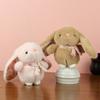 1 Stück Stoffhase Plüschtier Kawaii Ländlicher Hase Plüschspielzeug Babys Schlafbegleiter Cartoon Tiere Puppe Kinderspielzeug Geschenk