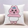 OOpanchu Usagi  Doublesided print Pillow Case Pattern Printed Pillowcase For Living Room Sofa Cushion Cover