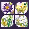 891PCS Romantisk Blomsterbukett Byggklossar Evig Blomma Växt Montera Klossar Kreativ Skrivbordsdeko Barn DIY Leksaker Gåvor