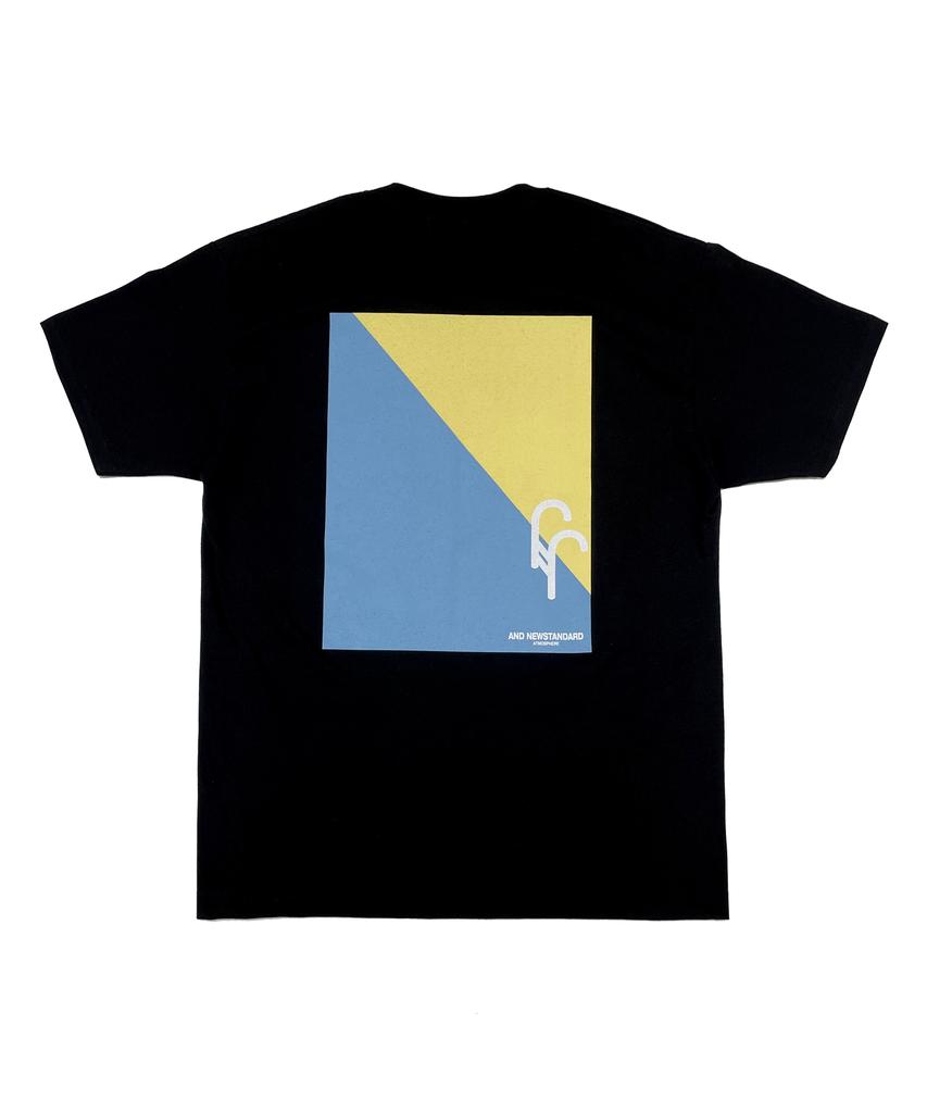 AND NEWSTANDARD No Swimming Swim Team T-Shirt (Black)