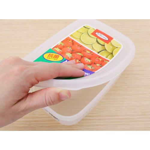 Lastro Snack Case, Large, 1.19L, B-1805, 031098