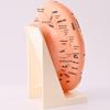 Ultra-Clear Extra Large Ear Acupuncture & Reflexology Model with Multi-Hole Acupoint Diagram