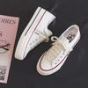 Spring Platform Canvas Shoes Women's New Spring Versatile Casual Board Shoes Cloth Shoes Small Black Shoes Sneakers