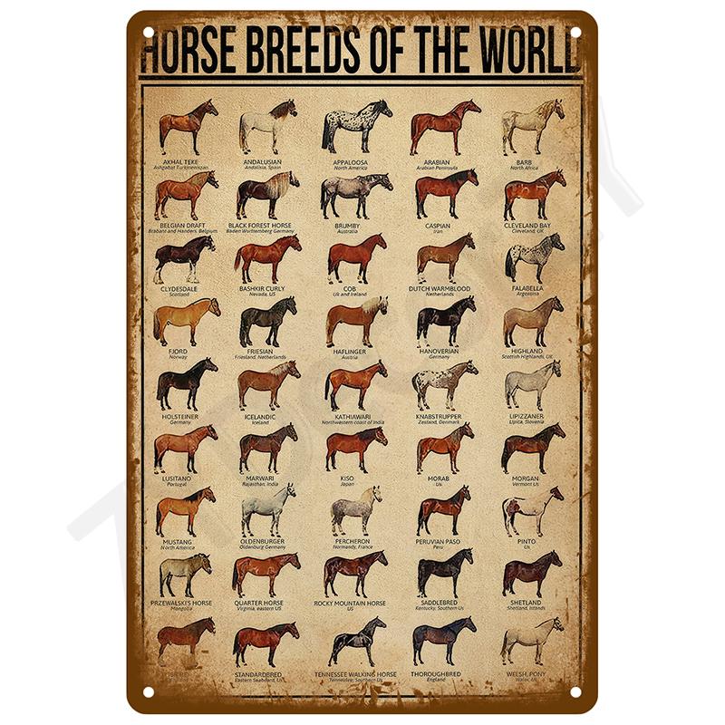 Metal Signs Vintage Metal Plates Posters Retro Wall Art Bar Accessories Mancave Tin Sign Room Luxury Home Decor Item Decorations