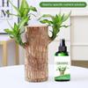 150 ml Brasilianischer Holzdünger Brasilianisches Holz Hydrokultur-Nährstofflösung Brasilianisches Holz Blüte-Nährstofflösung