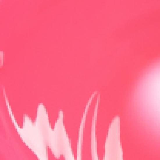 lilybyred Angkeum Liar Coating Tint 4g 14 Colors