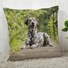 Pillowcase Dalmatians Pillowcase Modern Home Living Room Decoration Pillowcase Customizable