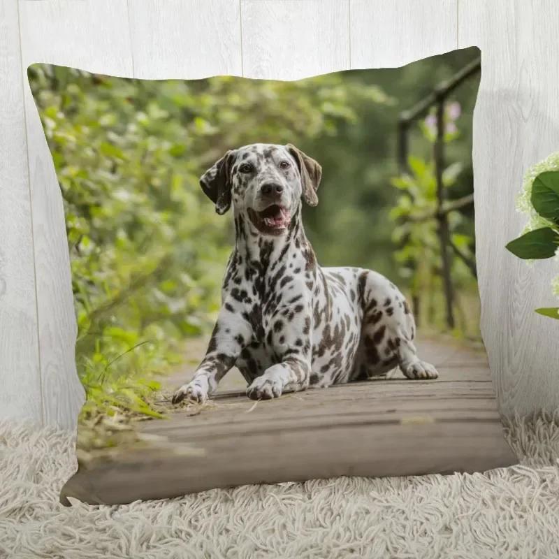 Pillowcase Dalmatians Pillowcase Modern Home Living Room Decoration Pillowcase Customizable