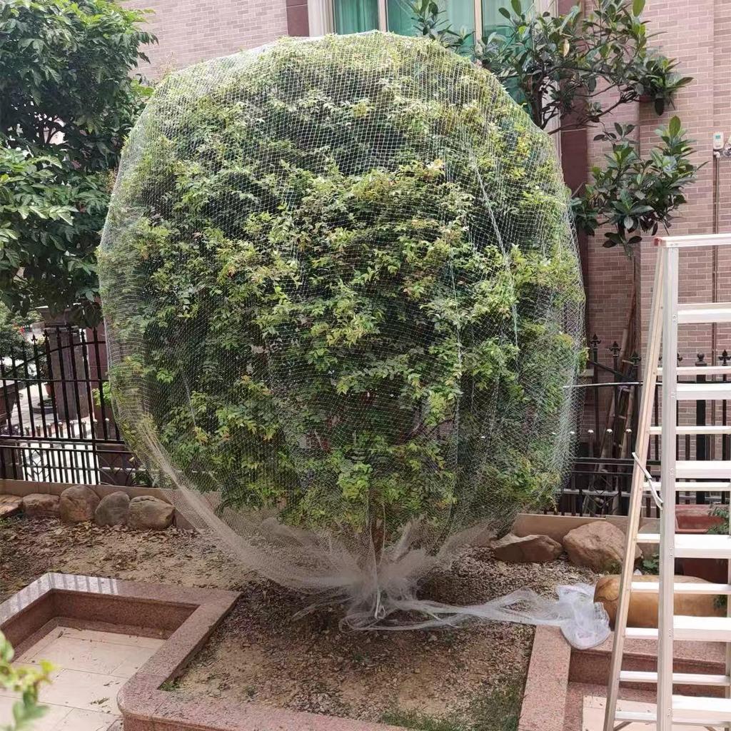 Orchard Anti-Bird Nylon Net for Cherry & Jaboticaba Trees - Sky Grape Protection