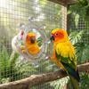 Wear-Resisting Bird Mirror Perch Spinning Puzzle Bird Flying Saucers  Bird Supplies
