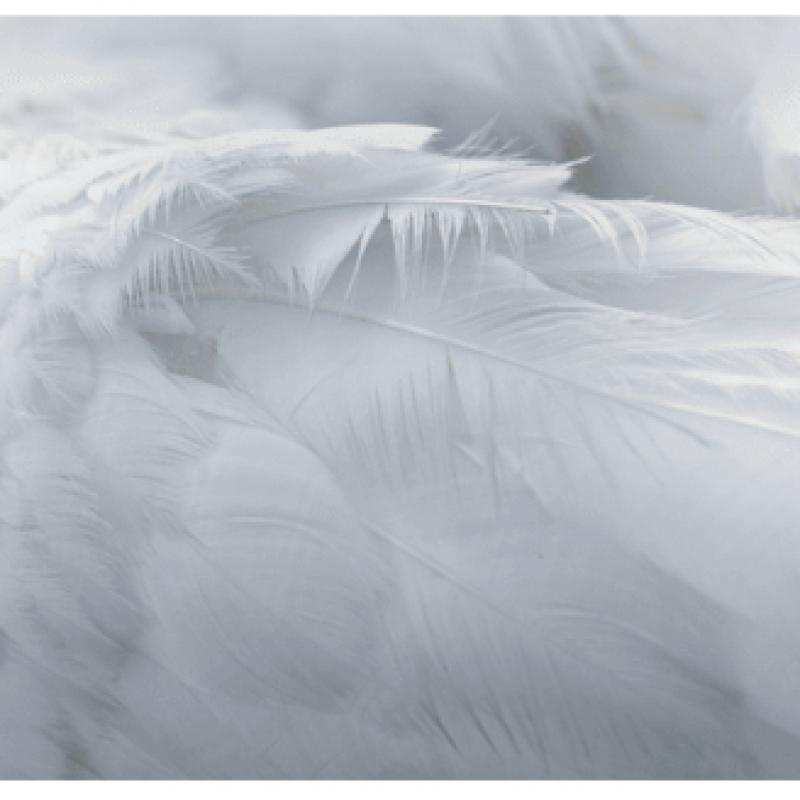 Puma Kk Middle Goose Down Coat