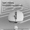 HP S1000C Pro 2.4G Wireless Silent Mouse
