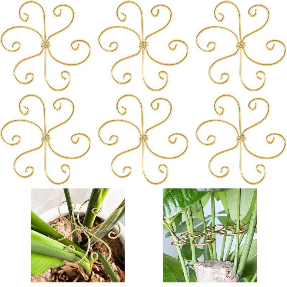 Iron Climbing Houseplant Stem Supports Heart Shape Garden Trellis  Plants Growth Accessories
