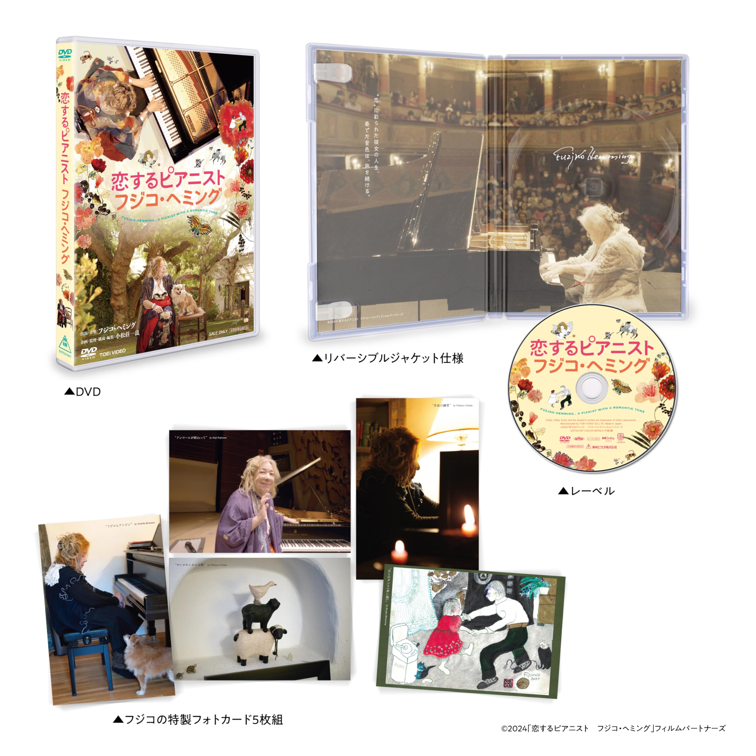 

Пианистка в любви Фудзико Хемминг [DVD]