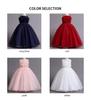 Children's Puffy Light Luxury Wedding and Party Dress