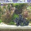 Realistic Mountain View Rockery Aquariums Ornaments Nature Lookings Fishtanks Shelter Cave Safe Resin Landsccape Decors