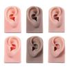Teaching Display Props Human Simulation Ear Silicone Ear Model Jewelry Earrings Display Fake Ear