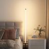 RGB LED Corner Floor Lamp