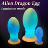 Liquid Silicone Glowing Anal Plug Dilator Adult Sexual Wellness Toy