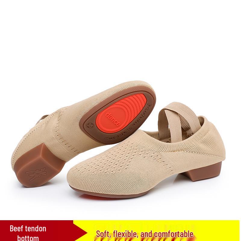 Flyknit Mesh Soft Sole Jazz & Latin Dance Shoes for Women