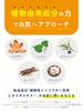 Acnes Labo Whitening Cream dark and acne 7g with patch (Quasi-drug) [For spots, acne, scars]