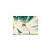 TAMASHII NATIONS S.H. Figuarts Sailor Moon Sailor Jupiter Animation Color Edition 150mm PVC Action Figure